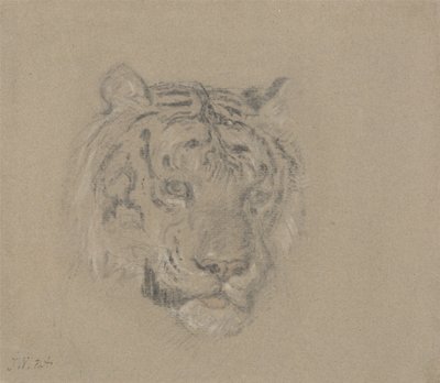 Head of a Tiger by James Ward